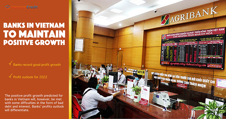 Banks in Vietnam to maintain positive growth